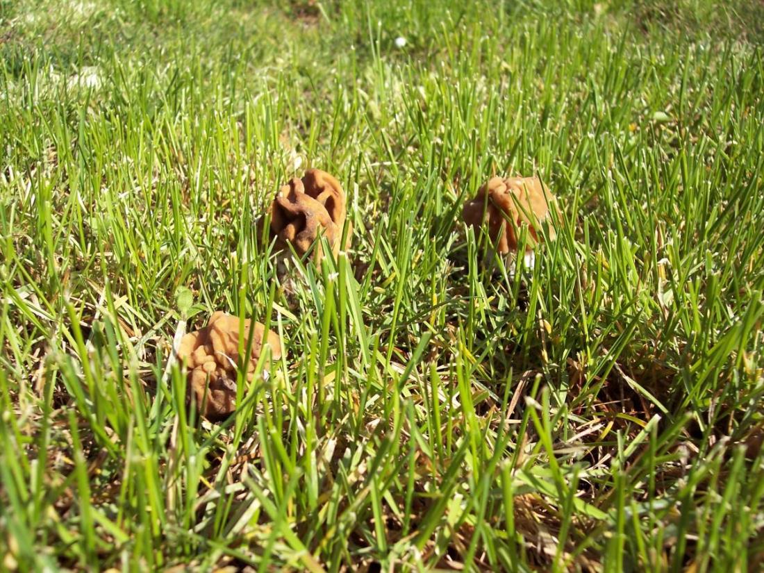 A 1000 metri dopo l''acqua